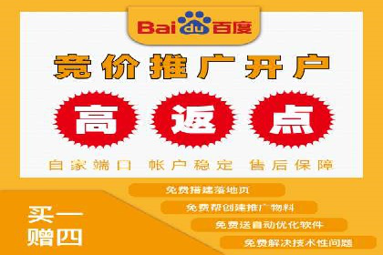 SEM推广策略如何制定——以某电商平台的成功案例为例